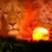 Ver Perfil de DONCATER