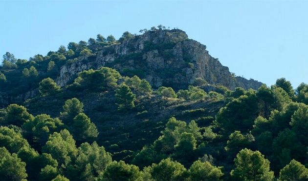 Monte Jabalcuza (Málaga) Monte Jabalcuza (Málaga)