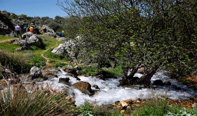 Nacimiento de Riofrío (Granada) Nacimiento de Riofrío (Granada)