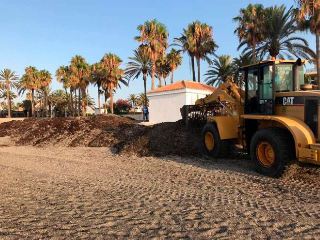 Retirada de algas en las playas Retirada de algas en las playas