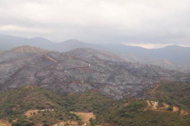 Incendio forestal en Estepona Incendio forestal en Estepona