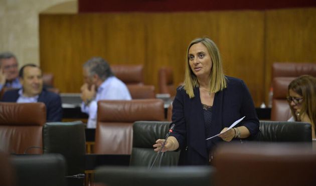 Marifrán Carazo interviene ante el Pleno del Parlamento durante la sesión de control al Gobierno Marifrán Carazo interviene ante el Pleno del Parlamento durante la sesión de control al Gobierno
