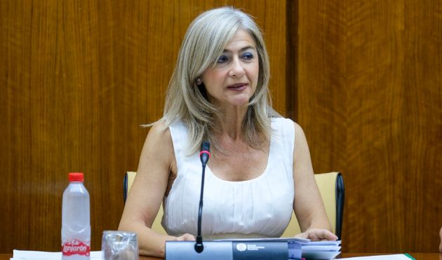 La consejera Patricia del Pozo, en comisión de Cultura y Patrimonio Histórico del Parlamento andaluz La consejera Patricia del Pozo, en comisión de Cultura y Patrimonio Histórico del Parlamento andaluz