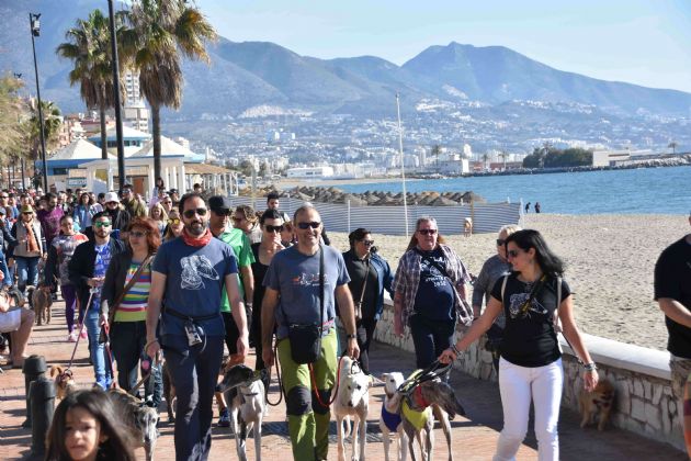 Día del Perro 2018 Día del Perro 2018