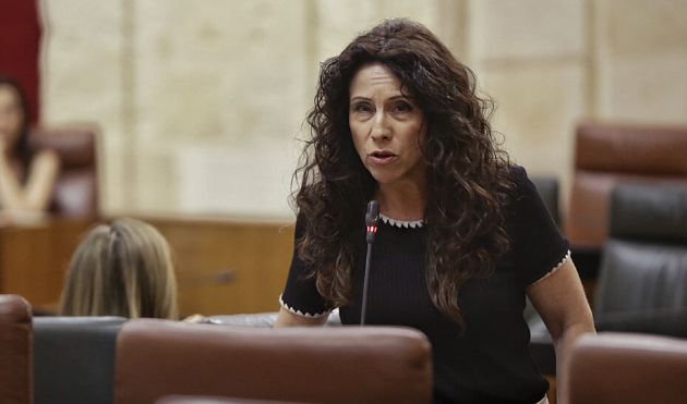 La consejera de Igualdad, durante su intervención en el Pleno La consejera de Igualdad, durante su intervención en el Pleno