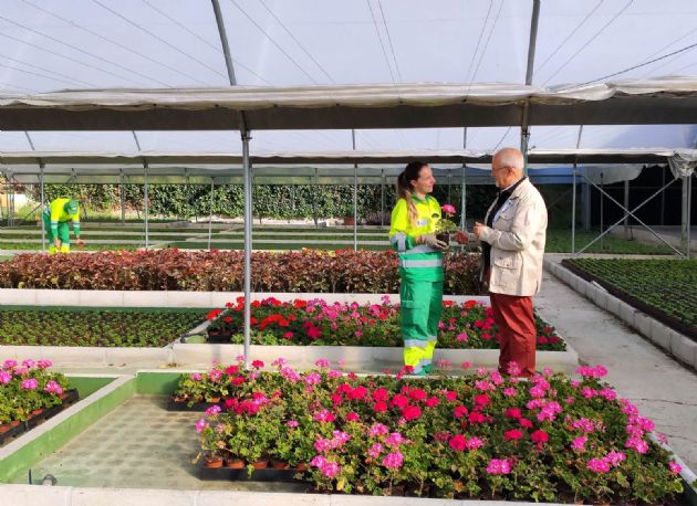 Vivero Vivero