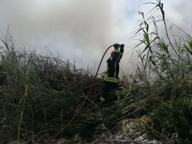 Incendio forestal en la zona de Las Albuferas de Adra (Almería) Incendio forestal en la zona de Las Albuferas de Adra (Almería)