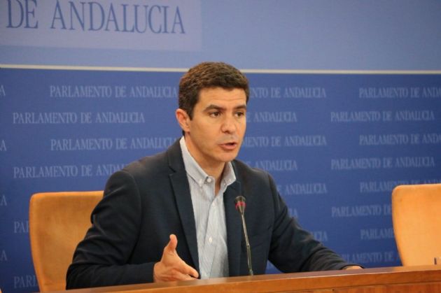 El portavoz parlamentario de Ciudadanos, Sergio Romero El portavoz parlamentario de Ciudadanos, Sergio Romero