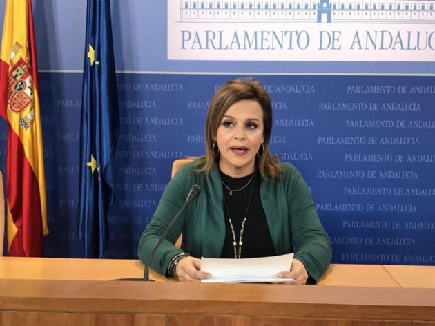 La parlamentaria onubense de Adelante Andalucía, María Gracia González La parlamentaria onubense de Adelante Andalucía, María Gracia González