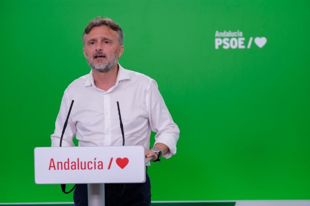 El portavoz del Grupo Parlamentario Socialista, José Fiscal El portavoz del Grupo Parlamentario Socialista, José Fiscal