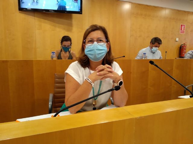 Carmen Santa María, portavoz de Cs en la Diputación de Sevilla Carmen Santa María, portavoz de Cs en la Diputación de Sevilla
