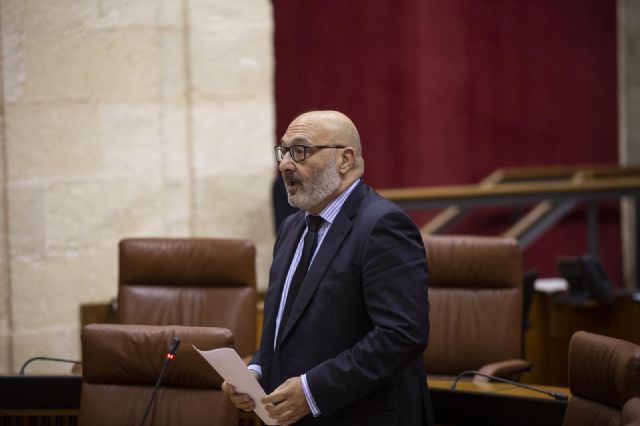 El portavoz del grupo parlamentario, Vox, Alejandro Hernández El portavoz del grupo parlamentario, Vox, Alejandro Hernández