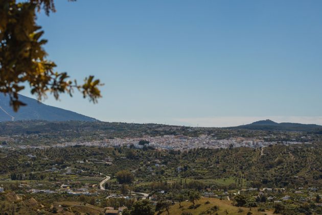 Coín Coín