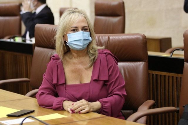 La parlamentaria autonómica de Ciudadanos (Cs) por Sevilla Ana Llopis La parlamentaria autonómica de Ciudadanos (Cs) por Sevilla Ana Llopis
