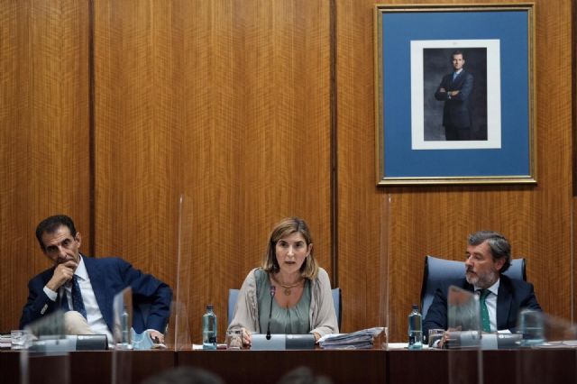 La consejera de Empleo, Rocío Blanco, este jueves durante su comparencia en el Parlamento La consejera de Empleo, Rocío Blanco, este jueves durante su comparencia en el Parlamento
