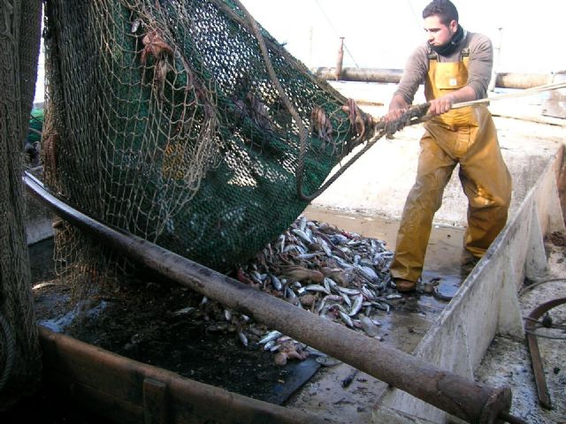 Pesca de arrastre Pesca de arrastre