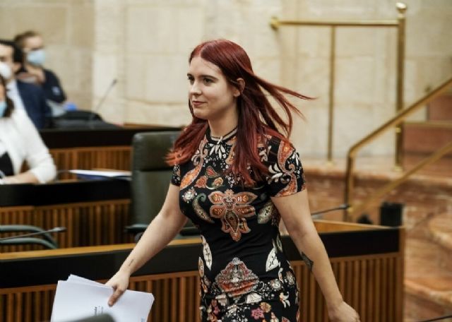 Luzmarina Dorado en el Parlamento andaluz
