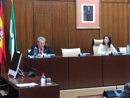 El presidente del Consejo Andaluz de Colegios de Médicos en la Comisión de Estudio sobre la recuperación de Andalucía a causa del Covid-19