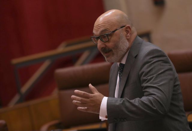 El portavoz del grupo parlamentario Vox, Alejandro Hernández - María José López - Europa Press El portavoz del grupo parlamentario Vox, Alejandro Hernández - María José López - Europa Press