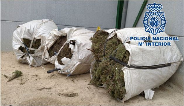 Plantas aromáticas recolectadas de manera ilegal Plantas aromáticas recolectadas de manera ilegal
