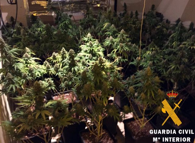 Plantas intervenidas Plantas intervenidas