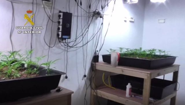 La Guardia Civil desmantela una organización criminal dedicada al cultivo y distribución de marihuana en Coín La Guardia Civil desmantela una organización criminal dedicada al cultivo y distribución de marihuana en Coín