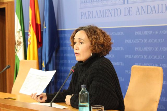 La parlamentario de Adelante Andalucía Ana Naranjo La parlamentario de Adelante Andalucía Ana Naranjo