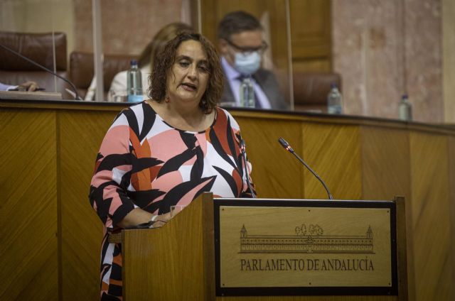 La portavoz adjunta del grupo parlamentario Adelante Andalucía, Ángela Aguilera, durante su intervención en el Debate sobre el Estado de la Comunidad en el Parlamento andaluz La portavoz adjunta del grupo parlamentario Adelante Andalucía, Ángela Aguilera, durante su intervención en el Debate sobre el Estado de la Comunidad en el Parlamento andaluz