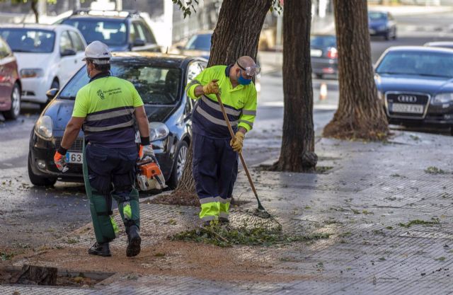 Servicio de Intervencion Rápida del Ayunntamiento Servicio de Intervencion Rápida del Ayunntamiento