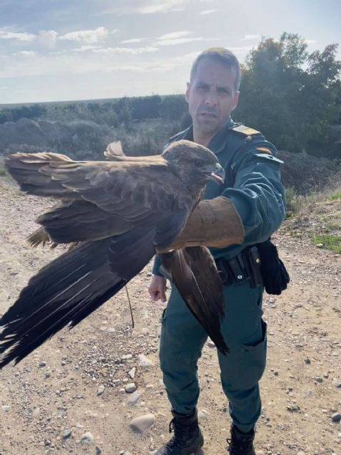 Uno de los agentes posa con el águila rescatada