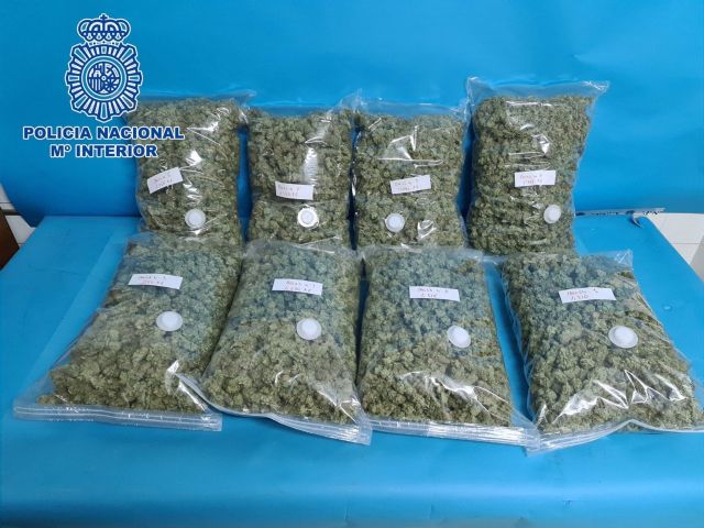 Cogollos de marihuana intervenidos Cogollos de marihuana intervenidos