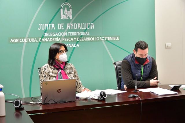 La delegada de Agricultura de la Junta en Granada, María José Martín, informa de las ayudas al sector agrario afectado por la Covid-19 La delegada de Agricultura de la Junta en Granada, María José Martín, informa de las ayudas al sector agrario afectado por la Covid-19
