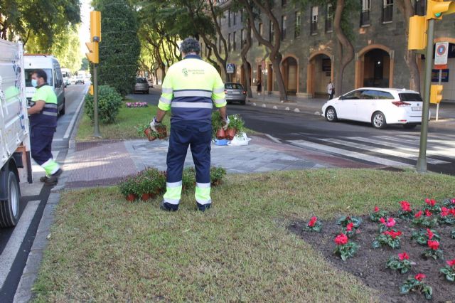 Actuación en parques y jardines de Huelva Actuación en parques y jardines de Huelva