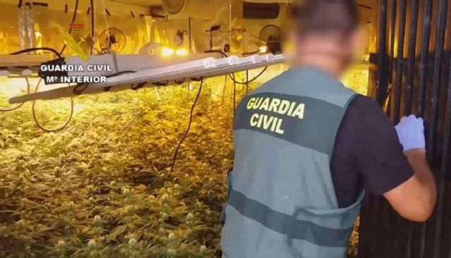 Detenidos los ocho miembros de un grupo dedicado al cultivo de marihuana en la provincia de Málaga
