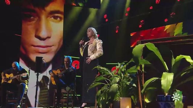 Tierra De Talento Tierra De Talento