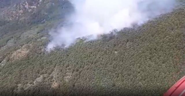 Incendio forestal en Genalguacil Incendio forestal en Genalguacil
