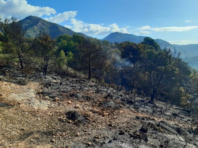 Imagen del terreno afectado por el incendio forestal en Nerja en noviembre de 2021