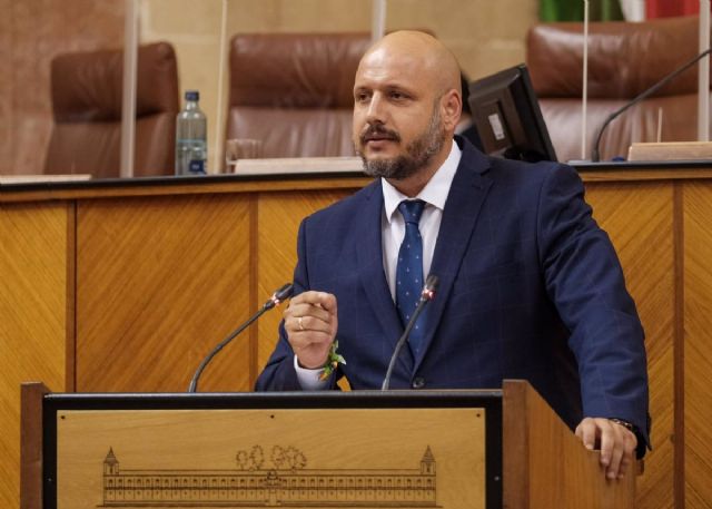 El portavoz adjunto de Vox en el Parlamento andaluz, Rodrigo Alonso