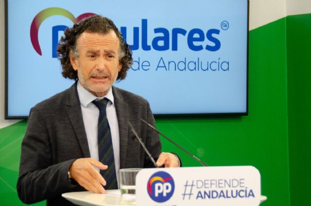 El vicesecretario de Economía y Hacienda del Partido Popular de Andalucía y portavoz adjunto del Grupo Parlamentario Popular, Pablo Venzal