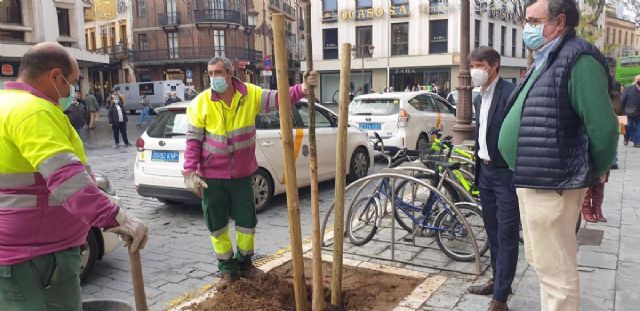 Dos trabajadores plantan árboles en Sevilla