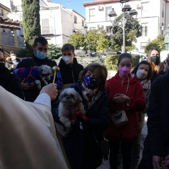 Las mascotas acuden a la tradicional bendición ante San Antón