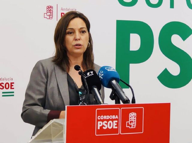 La secretaria de Política Municipal de Grandes Poblaciones del PSOE de Andalucía, Isabel Ambrosio