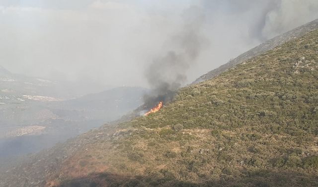 Imagen del incendio declarado en Pinos Puente (Foto: Plan Infoca)