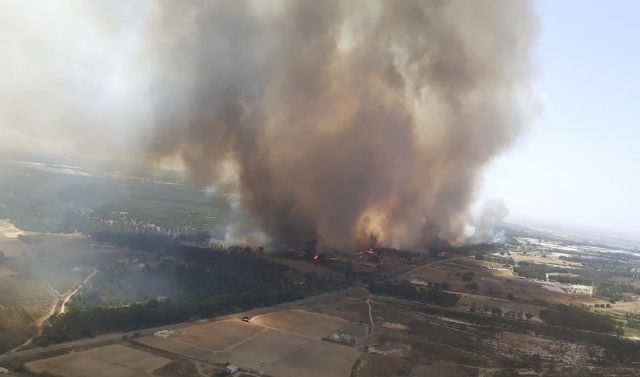 Panorámica del incendio de Bonares (Foto: Plan Infoca)