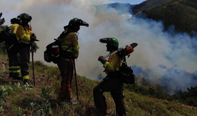 Efectivos del Plan Infoca trabajan en labores de extinción en el incendio de Pujerra