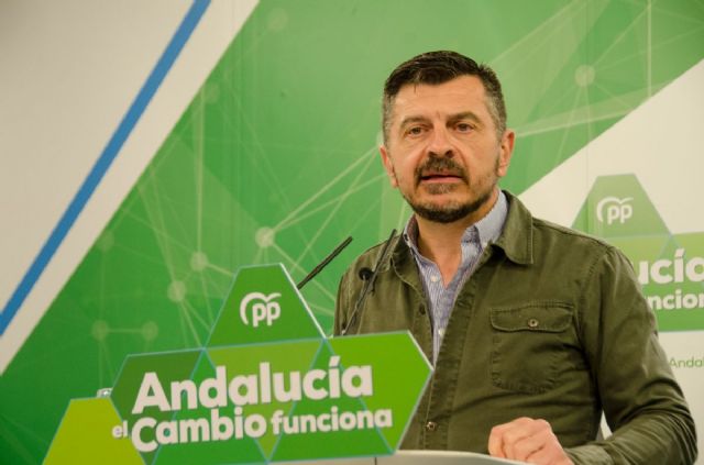 El vicesecretario general del PP de Andalucía, Toni Martín