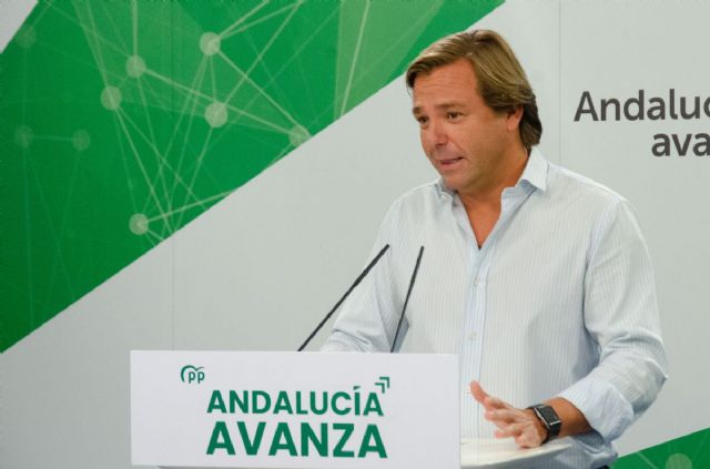 El secretario general del PP de Andalucía, Antonio Repullo