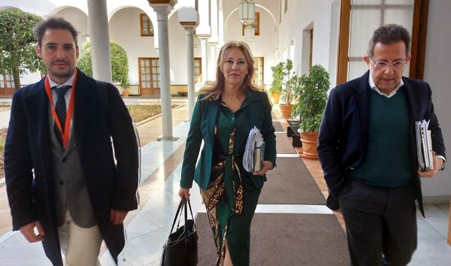  La consejera de Economía, Hacienda y Fondos Europeos, Carolina España, en los pasillos del Parlamento