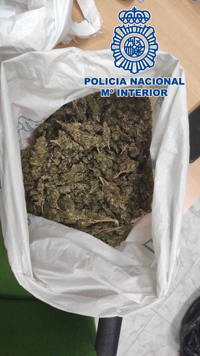 Foto de la noticia