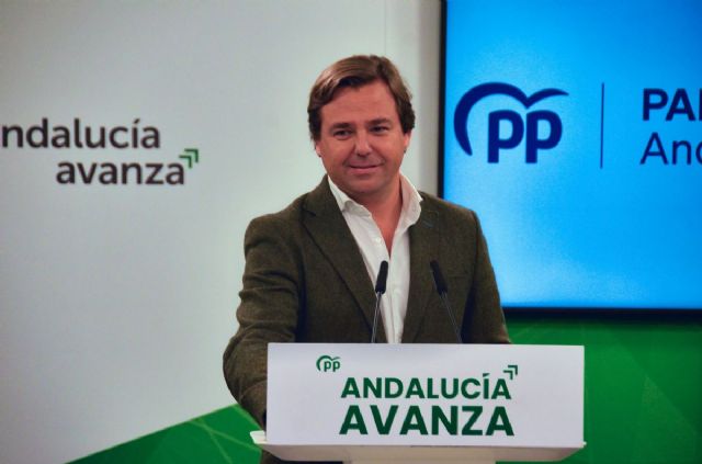 El secretario general del PP de Andalucía, Antonio Repullo
